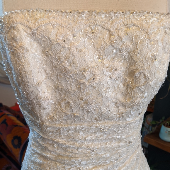 Pronovias Albeniz Tirso Wedding dress - Picture 10 of 15